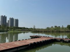 -九里湖国家湿地公园