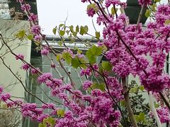 -上海市第一人民医院(松江南部)