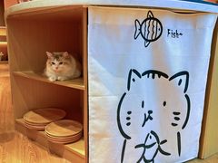 -剧狐剧本杀(徐汇1号店)