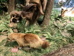 -陕西自然博物馆