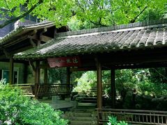 -中国茶叶博物馆(双峰馆区)