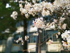 -华东理工大学·停车场