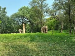 -北京野生动物园