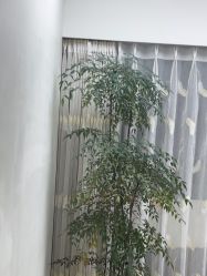 -HEYAN荷妍专业脱毛连锁机构