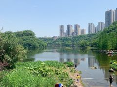 -重庆彩云湖湿地公园