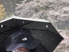 -杭州少年儿童公园