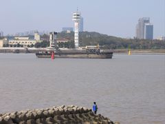 -上海滨江森林公园