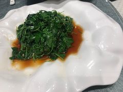 -望乡楼上海菜(日月光店)