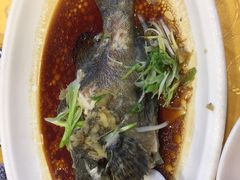 清蒸老虎斑-粤·向群饭店(泮塘路店)