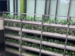 -中国天府农业博览园