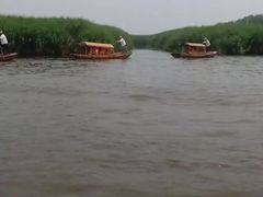 -白洋淀景区
