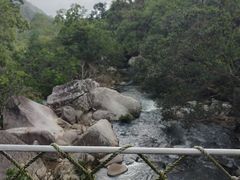 -海南热带雨林国家公园吊罗山景区