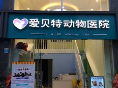 -爱贝特动物医院·猫口炎专科