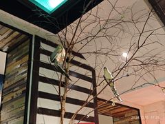 -可口香·非遗老号烧烤(南岗直营店)