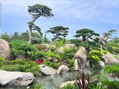 -罗红摄影艺术馆