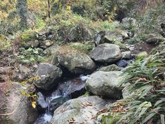 -藏龙百瀑风景区