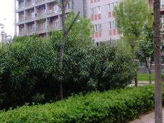 宿舍楼-河南财经政法大学(郑东校区)