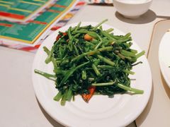 虾酱炒空心菜-肥仔文澳门猪骨煲(南京西路店)