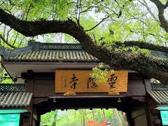 -一坐一忘云南菜(嘉里中心店)