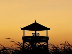 -盐城丹顶鹤湿地生态旅游区