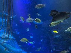 -沈阳海洋探索中心