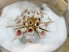 -摩登百货(岗顶店)