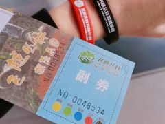 -芦仙山景区-飞越丛林探险乐园