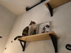 -隅cafe(傅厚岗店)