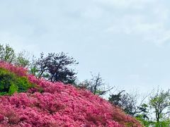 -木兰云雾山