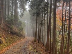 -比叡山