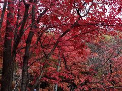 景点-吉林拉法山