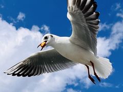 -海埂大坝
