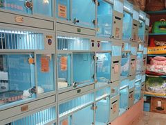 -FAELING PETS美天灵宠物(合生汇店)