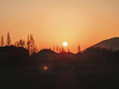 -长田漾湿地公园