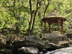 -少华山国家森林公园