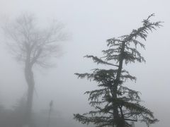 -江南天池高山汤泉城
