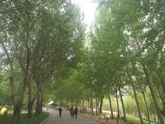 -长春公园(普阳街道)