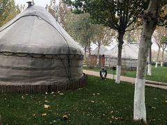 -九十九顶毡房(阜石路店)