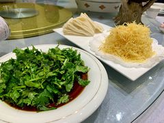 -丁老爷子苏香圆