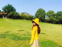 -雨花胜境