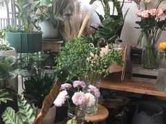 -一棵树咖啡馆(泉乐坊店)
