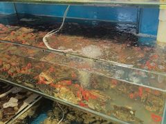 -仙螺岛海鲜自助餐厅(总店)