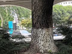 -湖北美术学院(昙华林校区)