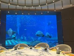 -亚特兰蒂斯•OSSIANO奥西亚诺海底餐厅