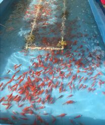 -萌宠亲子动物乐园(槐房万达店)