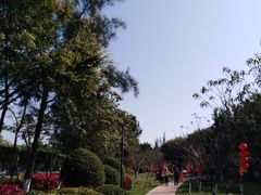 -五缘湾湿地公园