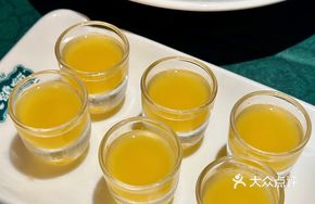 Baby Pigeon Companion