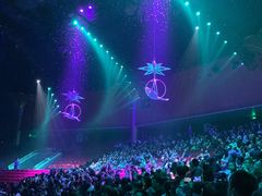 -珠海横琴长隆《卡卡虎奇遇记》