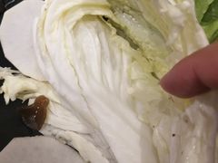 -呷哺呷哺(新世界百货望京店)