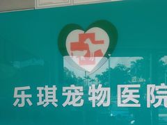 -乐琪宠物医院·犬猫专科·骨外科·急重症